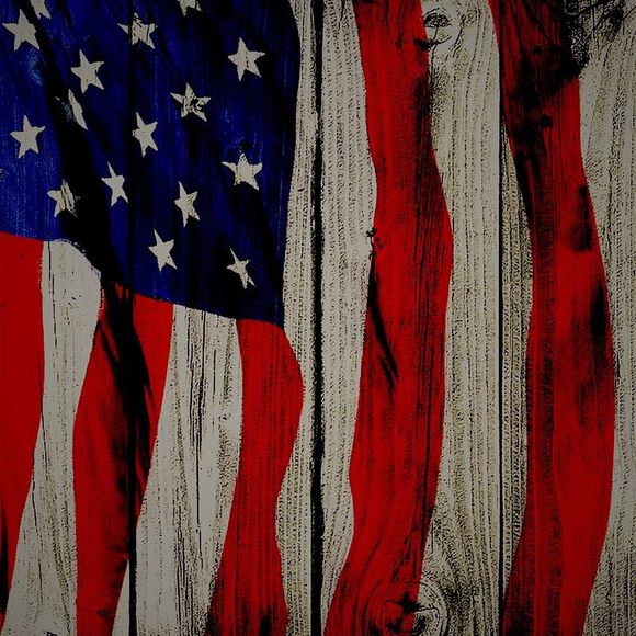 Meet your Posher, Baylee - Picture 1 of 1